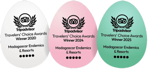 Best Luxury Madagascar Tours: TripAdvisor Travelers’ Choice Awards